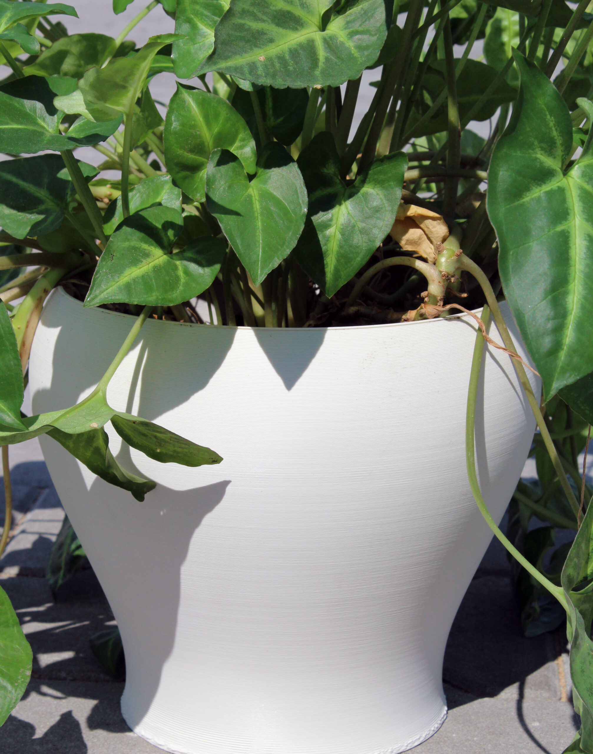 das-filament-pla-2-85-mm-tonwei-matt-1-kg image 3