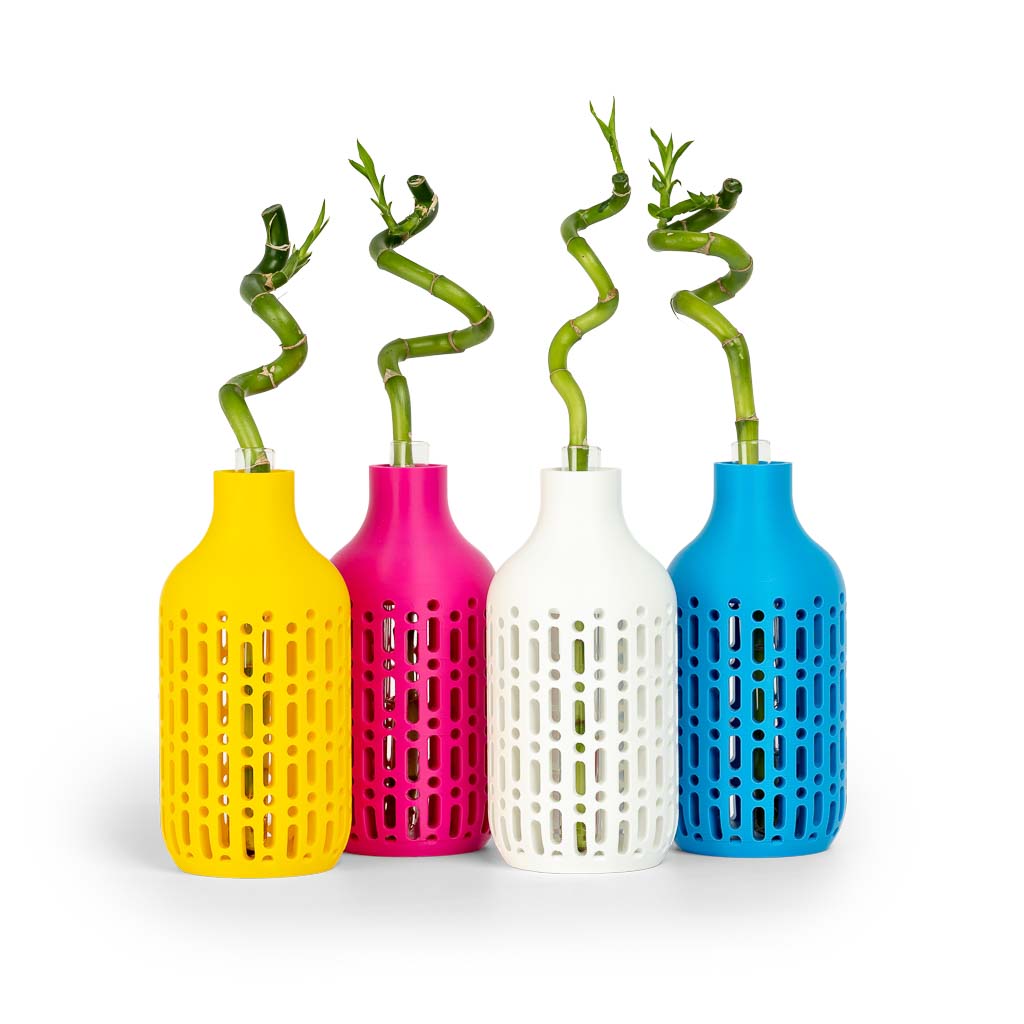 fiberlogy-easy-pla-filament-ams-kompatibel image 2
