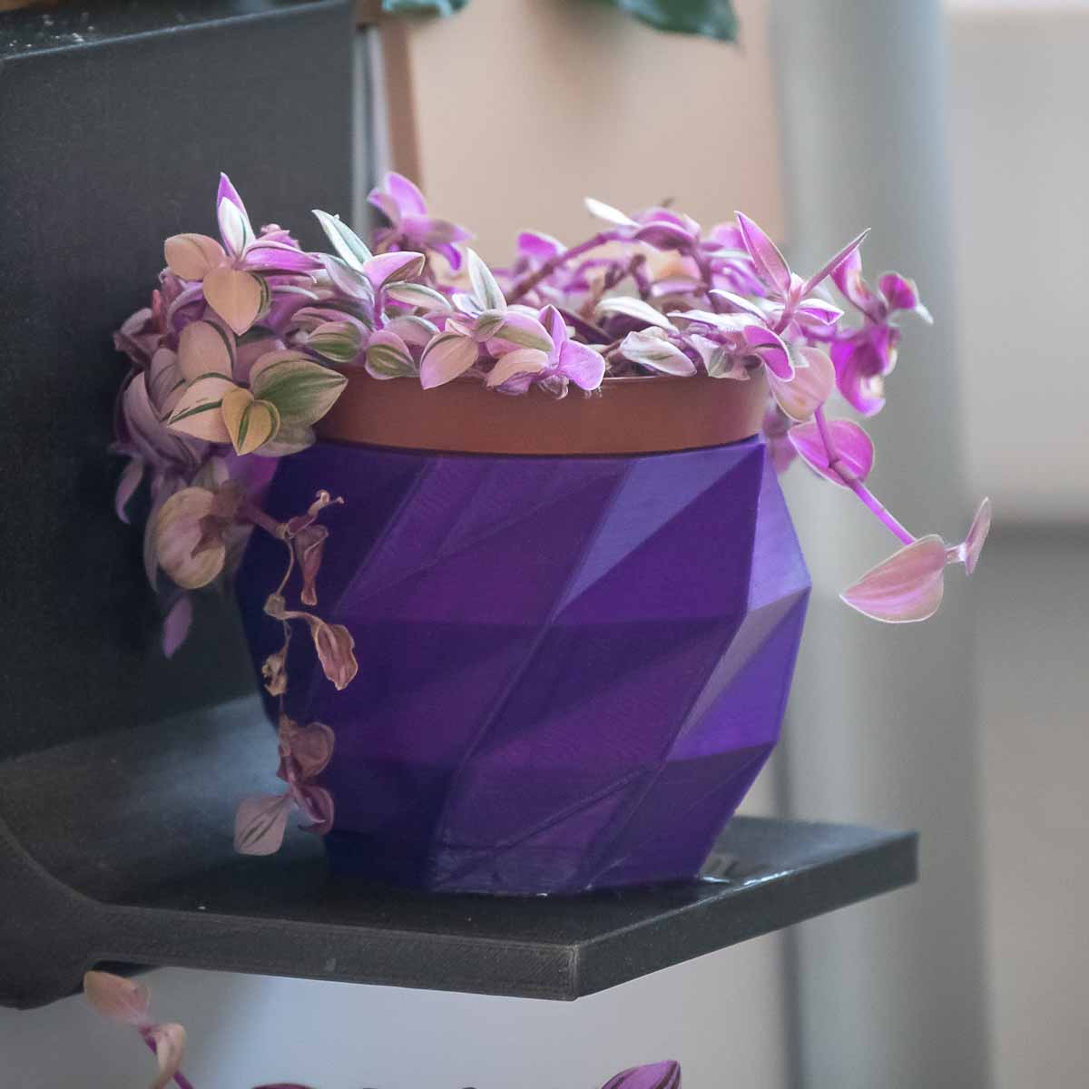 azurefilm-pla-original-filament-purple-einsteiger-pla image 4